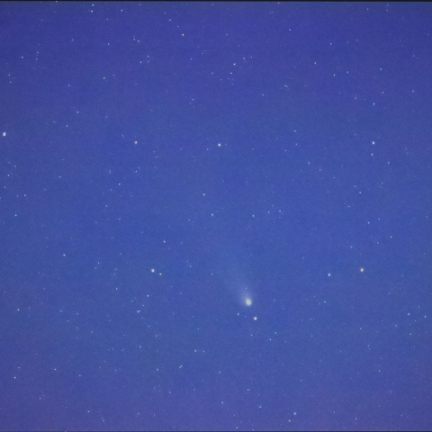 紫金山・アトラス彗星（2024.11.11）