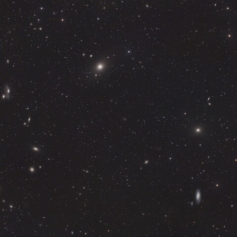 マルカリアンチェーン