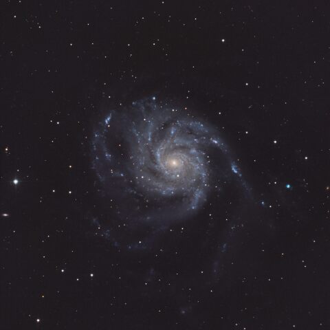 M101