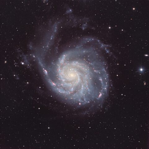 M101