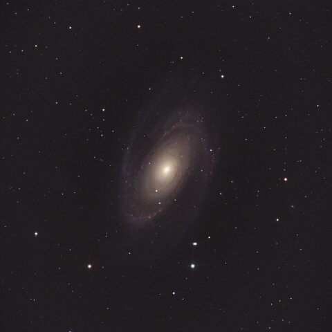 M81