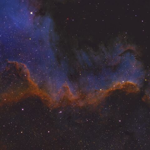 シグナスウォール