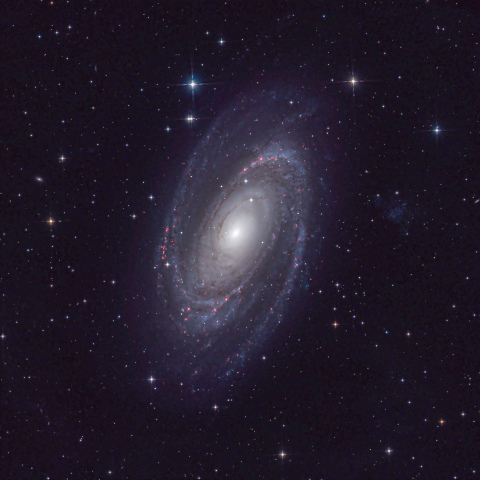 M81