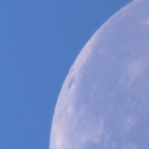 レグルス食　潜入前