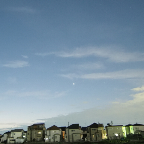 金星、土星の接近