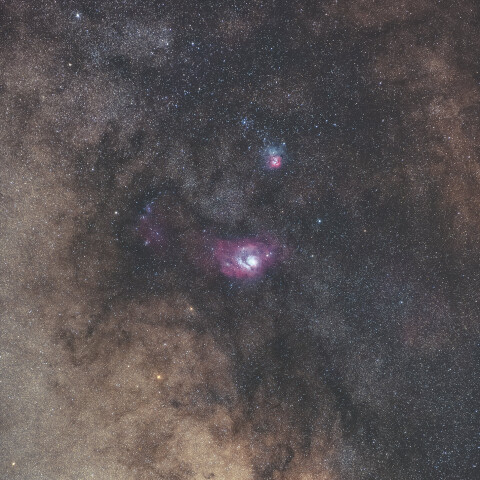 M8とM20を撮ってみた