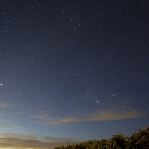 オリオンに墜つ