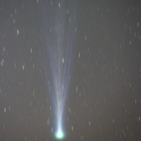 11月16日　アイソン彗星