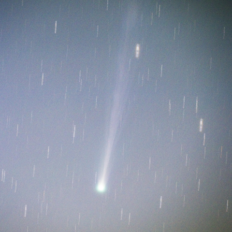 11月17日　アイソン彗星