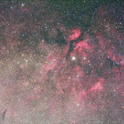 白鳥座γ星周辺