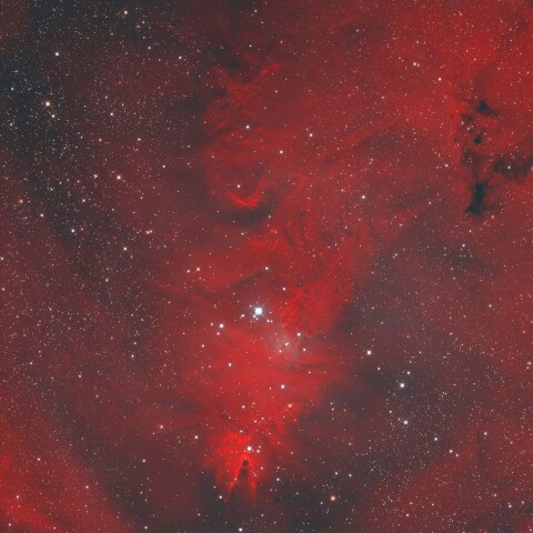 クリスマスツリー星団付近