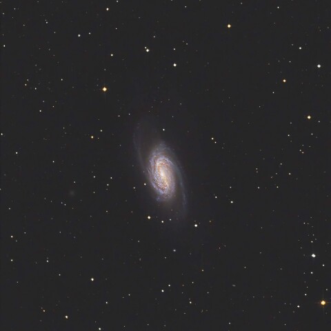 NGC2903