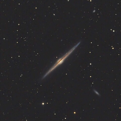 NGC4565