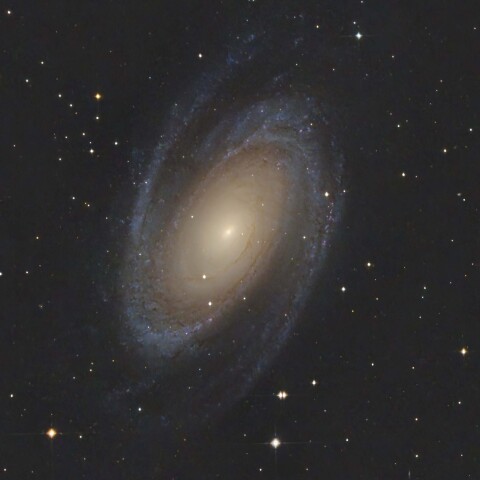 M81