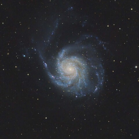 M101