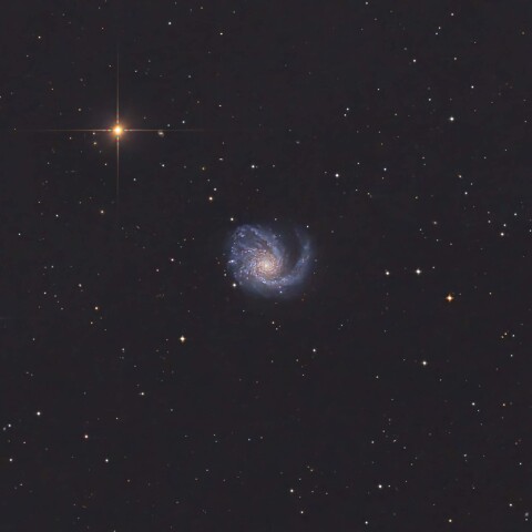 M99