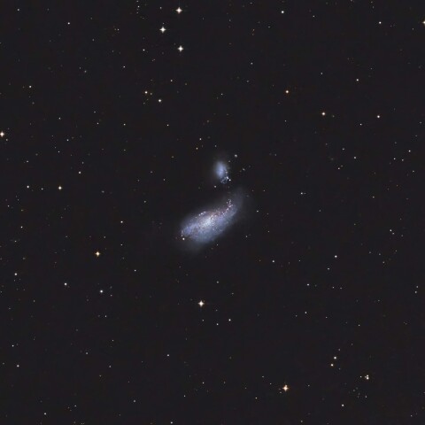 NGC4490