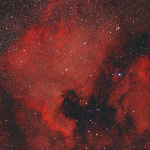 北アメリカ星雲付近