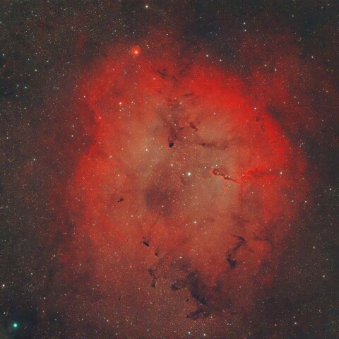 IC1396
