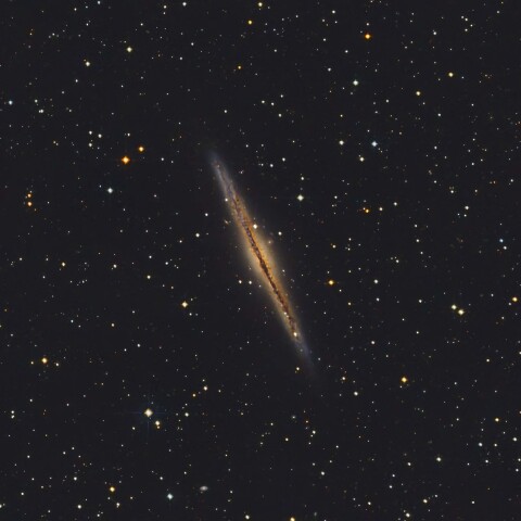 NGC891