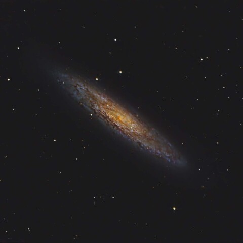NGC253