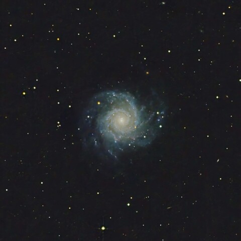 M74