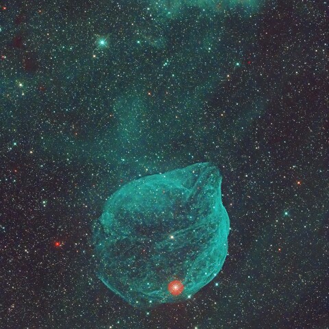 Sh2-308
