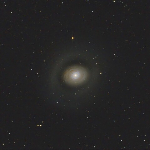 M94