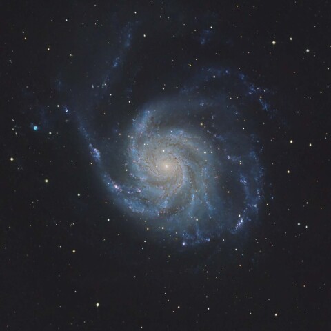 M101