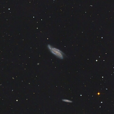 NGC4088