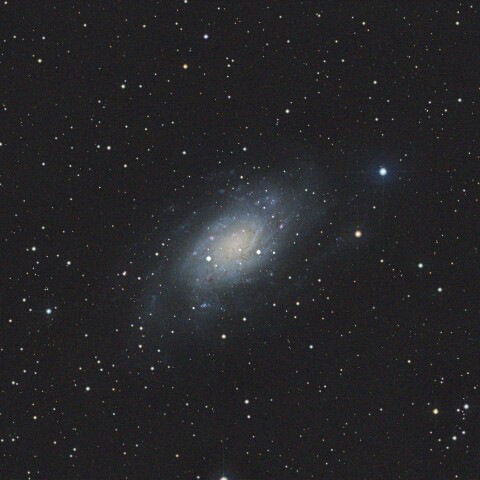 NGC2403