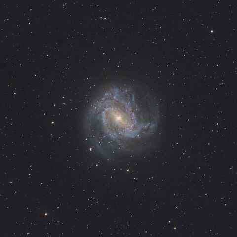 M83