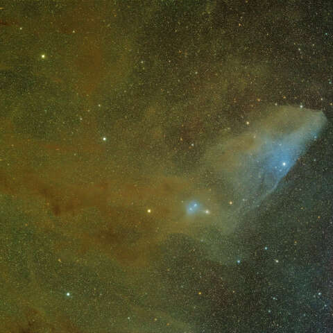 IC4592青い馬星雲