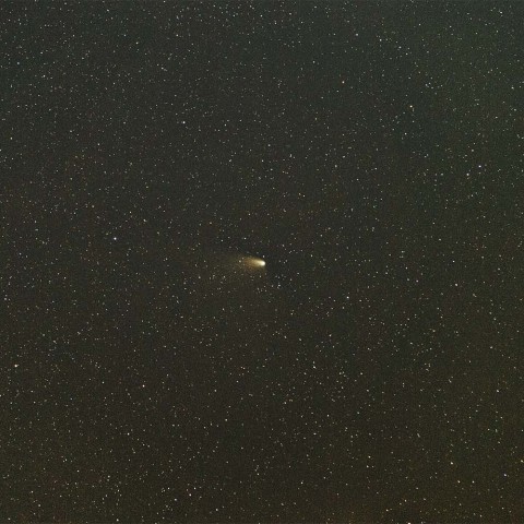 パンスターズ彗星