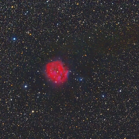 IC5146