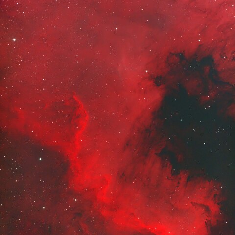 NGC7000北アメリカ星雲