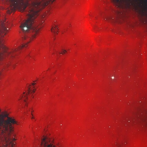 IC5067-70ペリカン星雲