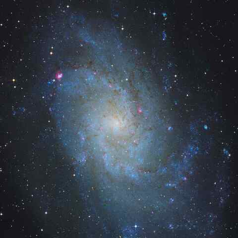 M33
