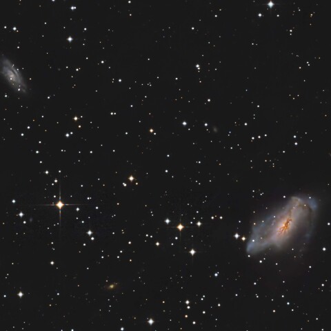 NGC2146