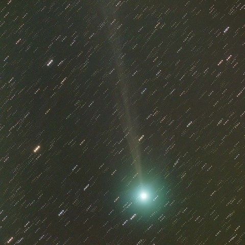 ラブジョイ彗星