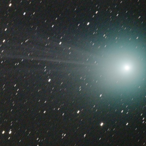 ラブジョイ彗星