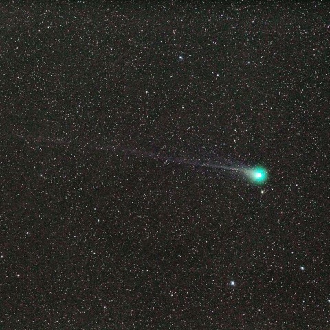 ラブジョイ彗星