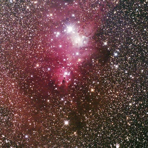 いっかくじゅう座S星付近の星雲