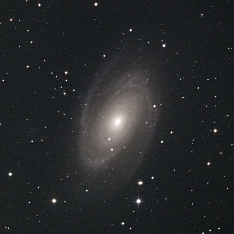 M81