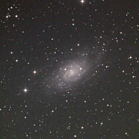 NGC2403