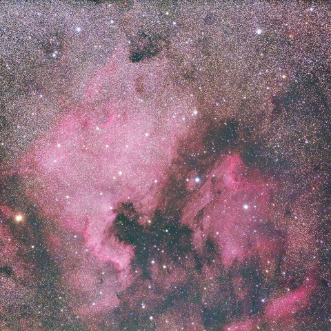 北アメリカ星雲とペリカン星雲