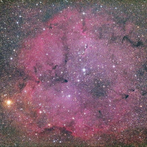 IC1396