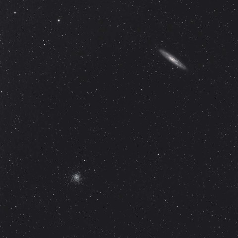 NGC253とNGC288