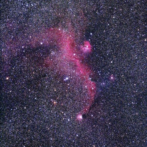 かもめ星雲 IC2177