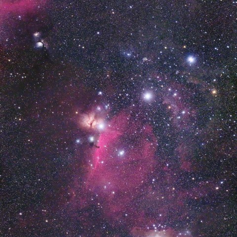 オリオン座中心部の星雲群